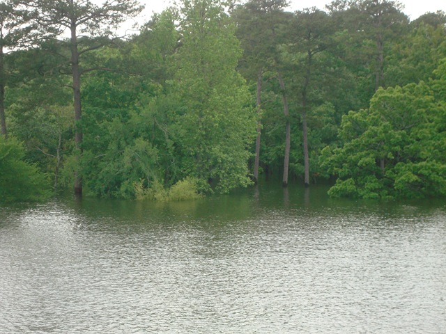 [2009 lake 089.jpg]