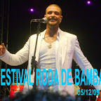 FESTIVAL RODA DE BAMBA
