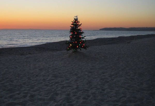 ChristmasTreeOnBeach20041
