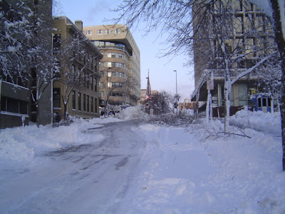 image of storm damage