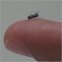 Robot que detecta las venas