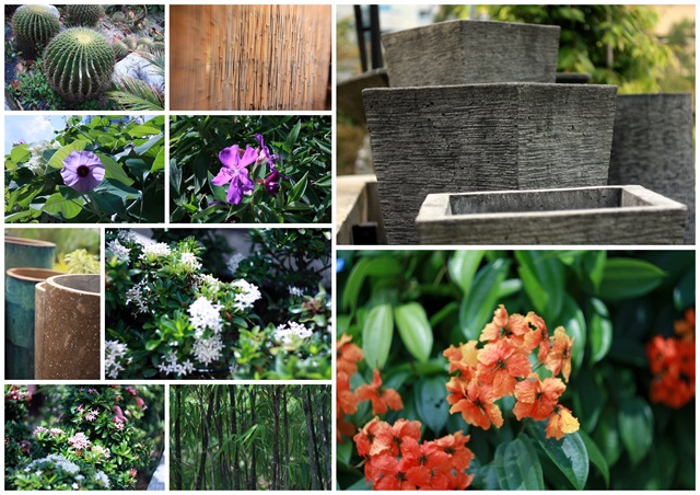 [450D test pics[4].jpg]