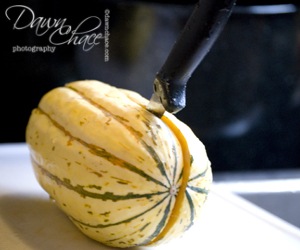 [squash2[4].jpg]