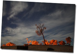 IMG_0800 IMG_0800