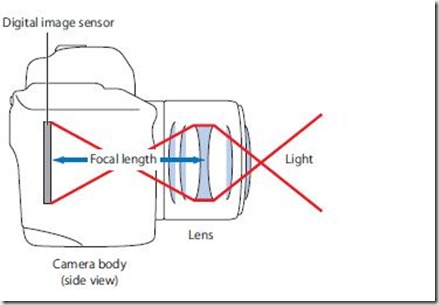  How Digital Cameras Capture Images