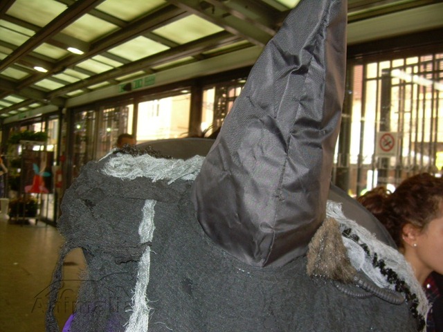 [LaTopasulcappello2.jpg]