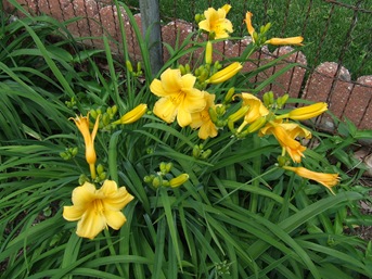DSCF0992