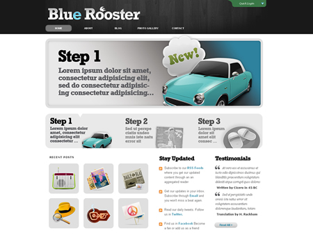 BlueRoosterDemo_450x338.jpg
