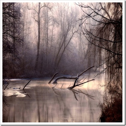 Фотограф Philippe Sainte-Laudy