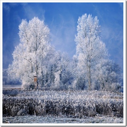 Фотограф Philippe Sainte-Laudy