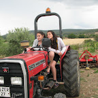 IMG_3502.JPG