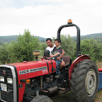 IMG_3556.JPG