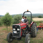 IMG_3557.JPG