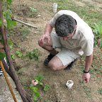 IMG_3559.JPG