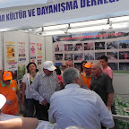 DSCN2740.jpg