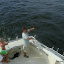 DSC01684.JPG