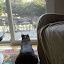 2010-07-23 19.08.26.jpg