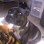 2010-04-08 14.07.27.jpg