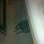 2010-04-04 20.07.47.jpg