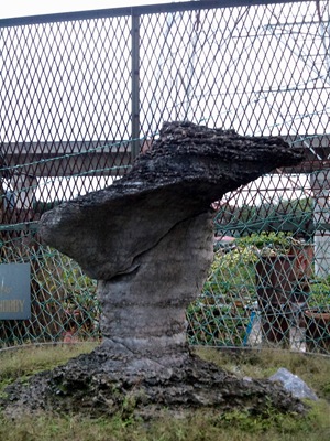 DSC00071