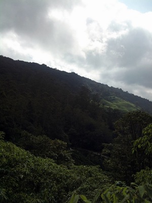 DSC00491