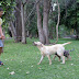 DSC03061.jpg, Marco mit "Wuffi", Best of 2009