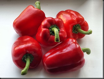 800px-Capsicum_annuum_2008