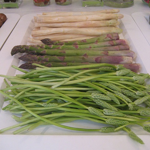 [600px-Asparagus3[3].jpg]