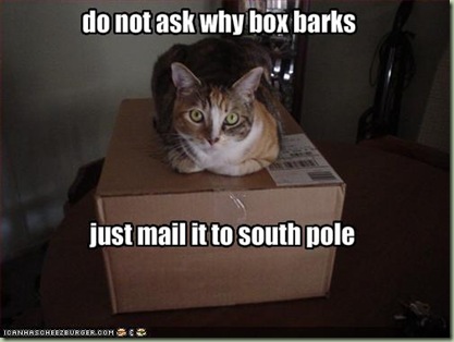 funny-pictures-cat-wants-you-to-mail-dog-to-south-pole