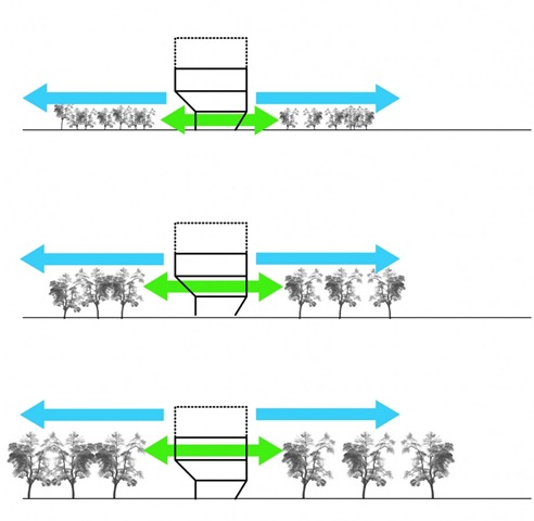 [1251996921-trees-growth-diagram-922x900[3].jpg]