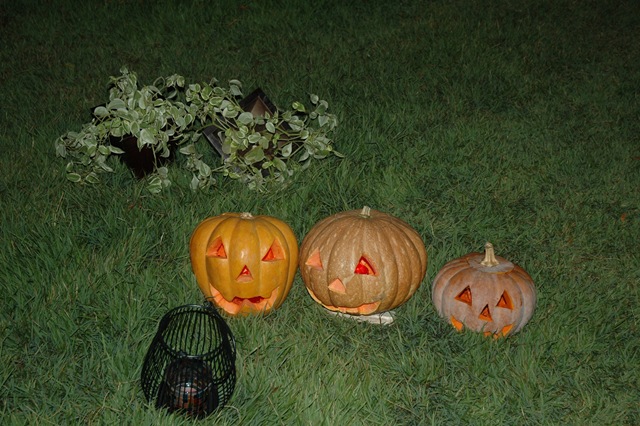 [2009 10 31 097[3].jpg]