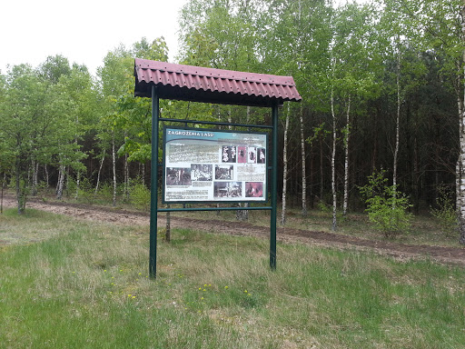 Forest Information Board