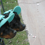 2008-03-15-St.Patrickday