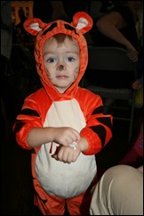 Picture 028