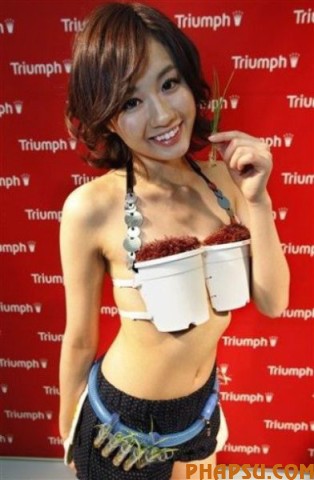 Model Reiko Aoyama displays a Triumph bra with a theme on the growing popularity of farming in Japan during an unveiling in Tokyo on Wednesday, May 12, 2010.  Called "Grow-Your-Own-Rice Bra," the new underwear  transforms into a pot that can grow rice. It was created and introduced by the lingerie manufacturer Triumph International Japan Ltd.  It's not for sale, however. (AP Photo/Shizuo Kambayashi)
