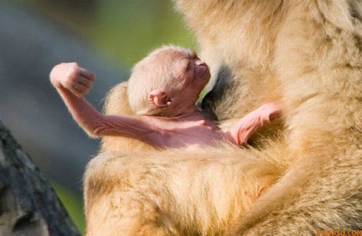cute_moments_of_640_36.jpg