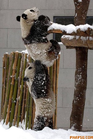 cute_moments_of_640_74.jpg