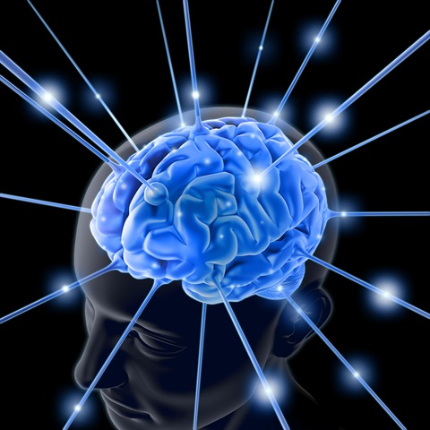 [bigstockphoto_the_brain_1713803[3].jpg]
