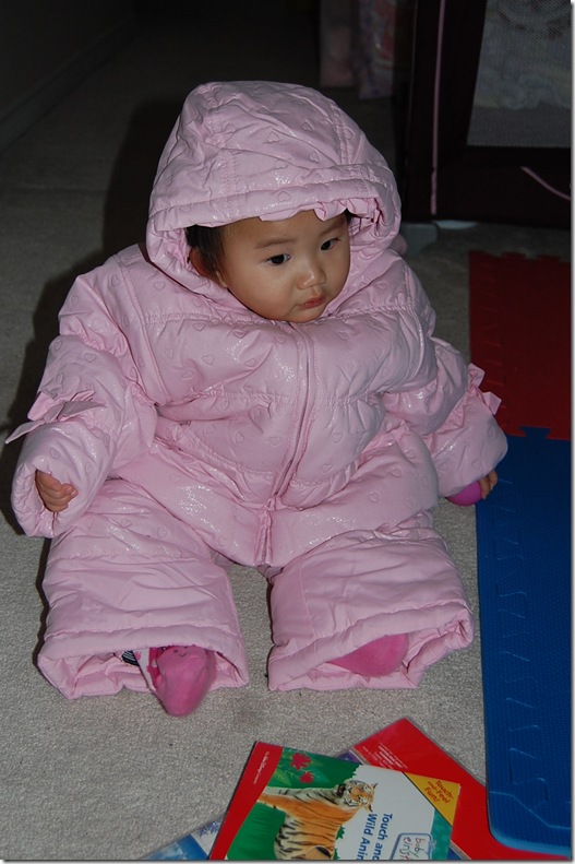 Imported Photos 00088