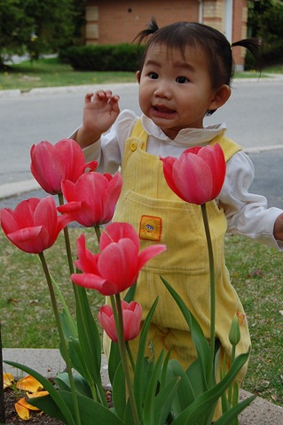 [ImportedPhotos000752.jpg]