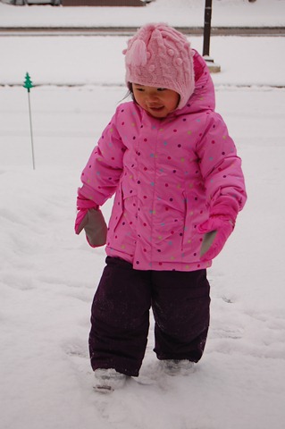 [DSC_6476[2].jpg]