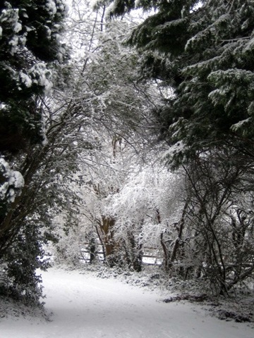 [IMG_00572.jpg]