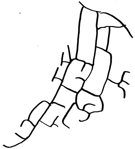 [image[2].png]