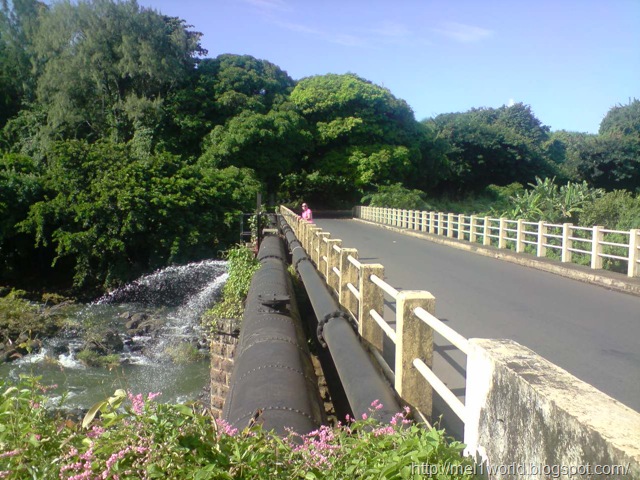 [P290309_15.36[10].jpg]