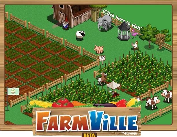 [farm[4].jpg]