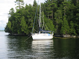 Boat tied to shore on southern tip of Sloop cove