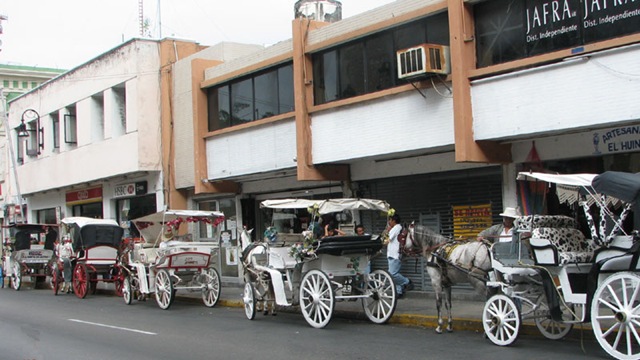 [MX09_Merida_Carriages4.jpg]