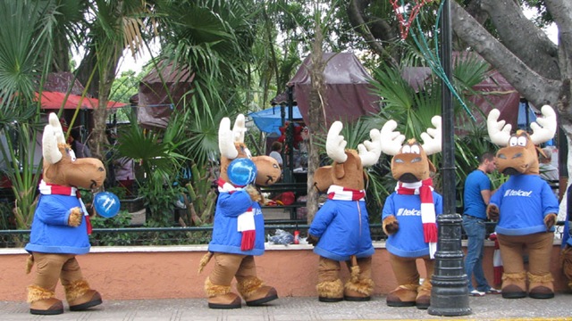 [MX09_Merida_Raindeer4.jpg]