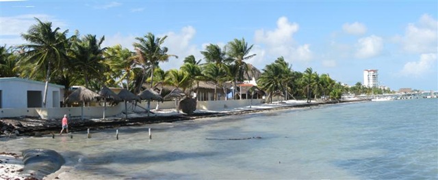 [MX09_IslaBlancaBeach[5].jpg]