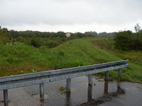 SDC14618.JPG Photo